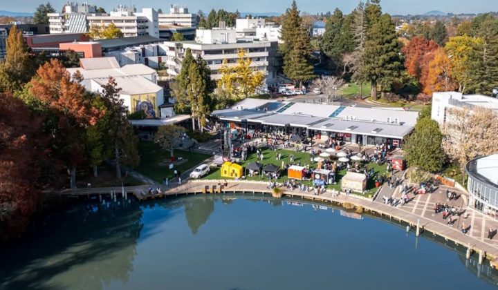 Située en Nouvelle-Zélande, The University of Waikato est partenaire de l'ESILV