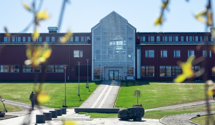 The Arctic University of Norway : une mobilité académique d’un semestre dans le cadre du programme Erasmus+